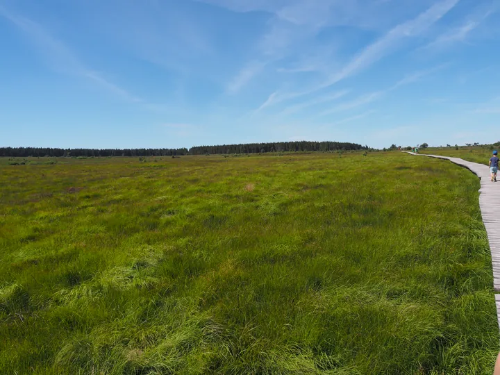 Signal de Botrange (Belgium)